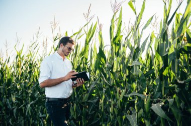 Yong yakışıklı tarım uzmanı mısır tarlasında tablet dokunmatik bilgisayarını tutuyor ve hasat etmeden önce ekinleri inceliyor. Tarım sektörü konsepti. Yazın elinde tabletle mısır tarlasında duran tarım mühendisi..