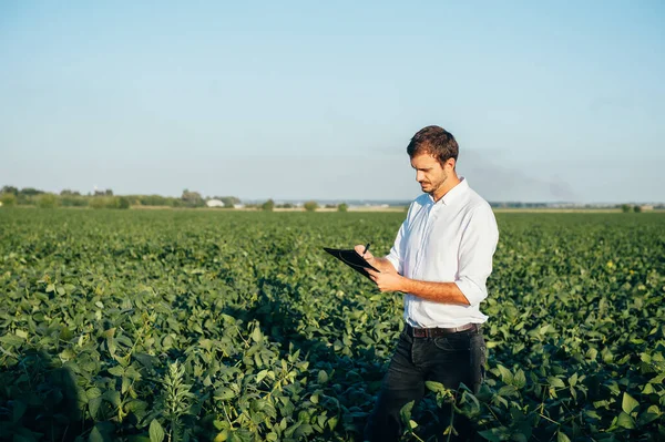 Yong Przystojny Agronomista Trzyma Tablet Dotykowy Komputera Polu Kukurydzy Badania — Zdjęcie stockowe