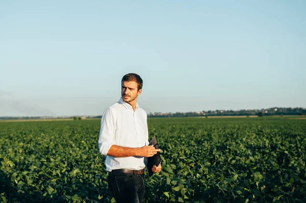 Yong Guapo Agrónomo Sostiene Tableta Táctil Campo Maíz Examinar Los —  Fotos de Stock