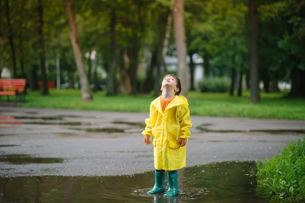 Little Boy Playing Rainy Summer Park Child Umbrella Waterproof Coat — Stock Photo, Image