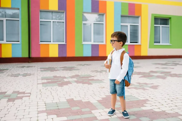 白いシャツを着た可愛い学生と本とバックパック付きの眼鏡 学校に戻る — ストック写真