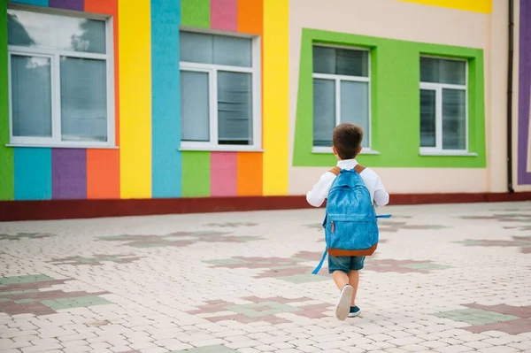 Liten Pojke Som Går Tillbaka Till Skolan Barn Med Ryggsäck — Stockfoto