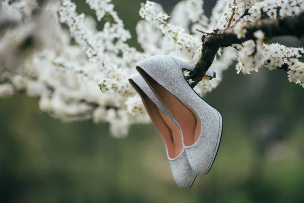 精致时髦的新娘新鞋 — 图库照片