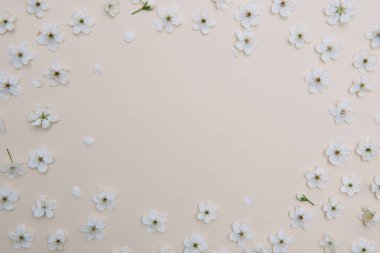 Renkli beyaz pastel bahar çiçeği. Kiraz çiçeği illüstrasyonu. bahar ve yaz arkaplanı. Üst görünüm