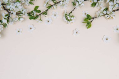 Bahar doğası arka planında sarı pastel renkli güzel çiçekler, üst manzara, pankart. İlkbahar konsepti