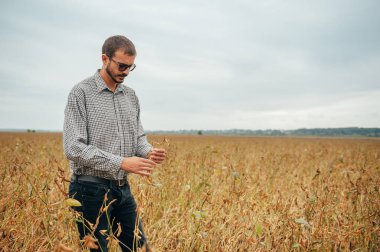 Yakışıklı tarım uzmanı soya tarlasında tablet dokunmatik bilgisayarını tutuyor ve hasat etmeden önce ekinleri inceliyor. Tarım sektörü konsepti. Soya tarlasında elinde tabletle duran tarım mühendisi..