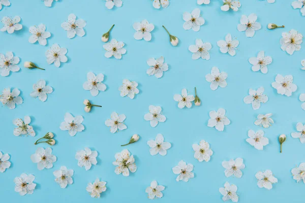 White pastel spring flower petals on blue color background . Cherry blossom petals illustration. Spring and summer background.