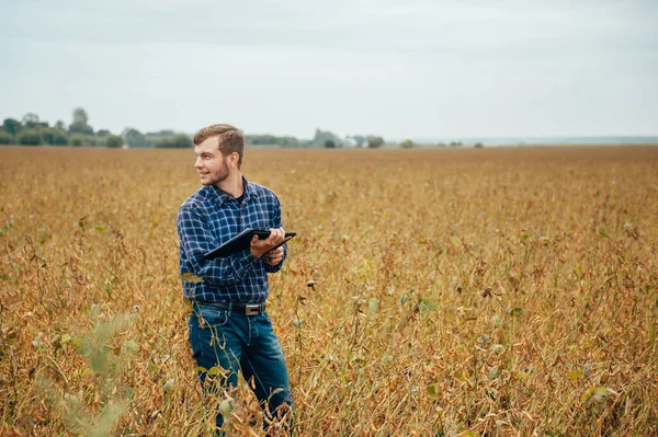 ハンサムな農学者は 大豆畑にタブレットタッチパッドコンピュータを持ち 収穫前に作物を調べます 農業ビジネスの概念 農業技術者がタブレットを持って大豆畑に立ち — ストック写真