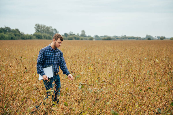 handsome agronomist holds tablet touch pad computer in the soy field and examining crops before harvesting. Agribusiness concept. agricultural engineer standing in a soy field with a tablet.