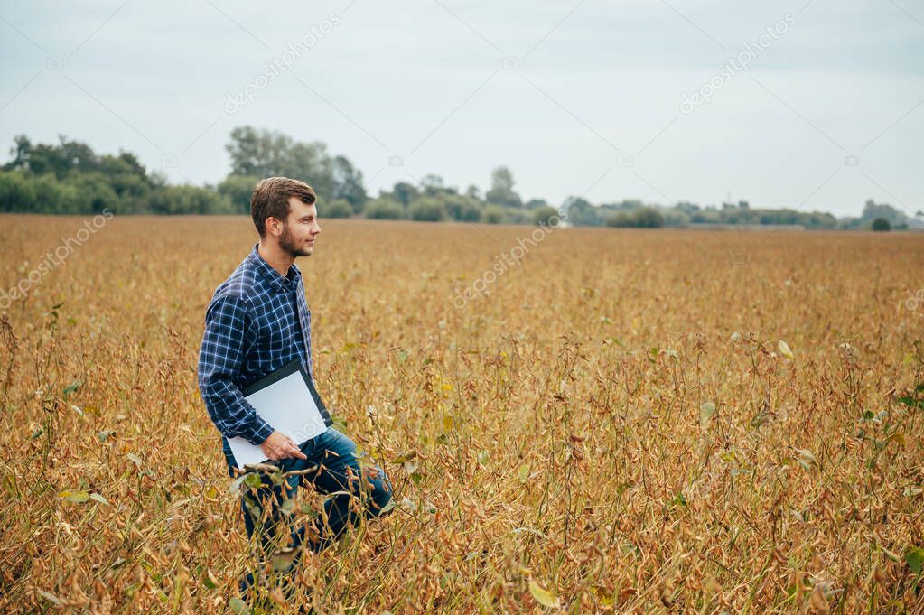 handsome agronomist holds tablet touch pad computer in the soy field and examining crops before harvesting. Agribusiness concept. agricultural engineer standing in a soy field with a tablet.