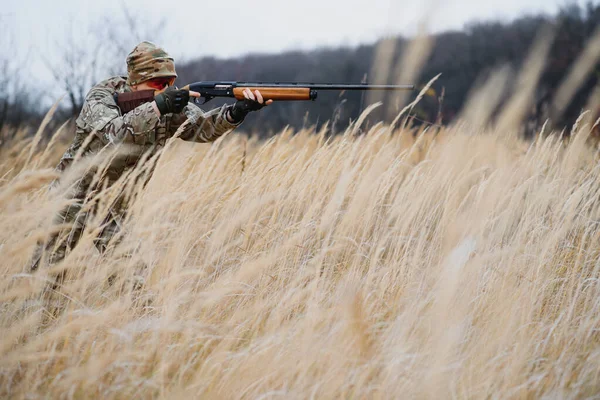 Hunting permit. Man brutal gamekeeper nature background. hunter spend leisure hunting. Hunter hold riffles. Focus and concentration of experienced hunter. Hunting and trapping seasons.