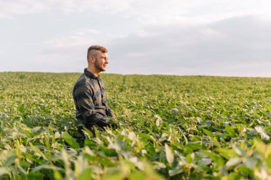 Soya tarlasında duran genç çiftçinin portresi..