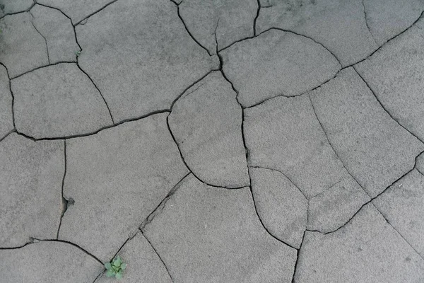 Gris Agrietado Tierra Tierra Sequía Desastre Causa Cambio Climático Calentamiento —  Fotos de Stock