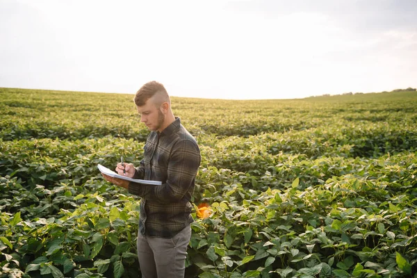 Portrait Young Farmer Standing Soybean Field — Stock Photo, Image