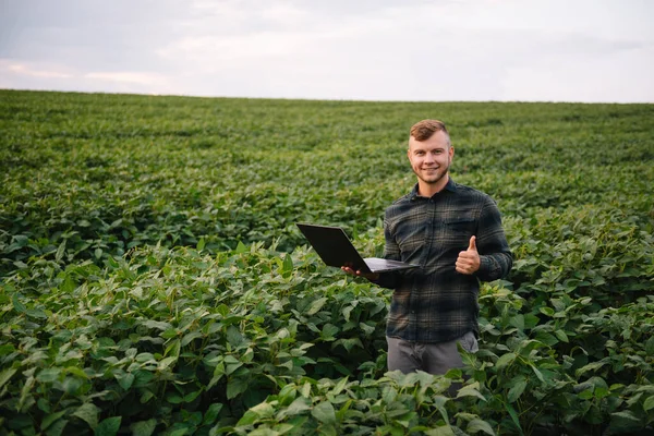 농학자는 태블릿 컴퓨터를 가지고 있으며 수확하기 농작물을 검사한다 비즈니스 기사가 — 스톡 사진
