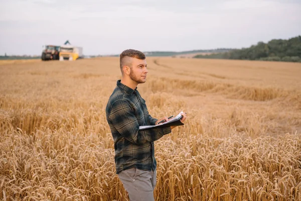Young agronomist man standing on wheat field checking quality while combine harvester working.