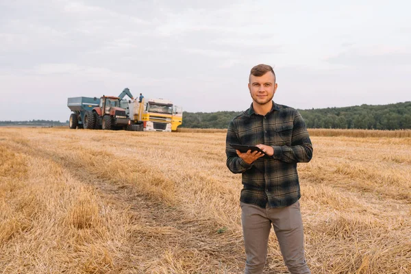Молодой Агроном Стоящий Пшеничном Поле Проверяющий Качество Комбайна — стоковое фото
