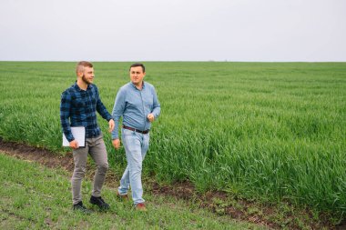 İki çiftçi tarlada buğday hasadını inceliyor..