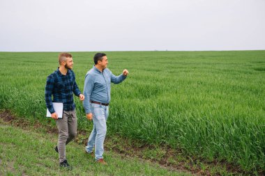 İki çiftçi tarlada buğday hasadını inceliyor..