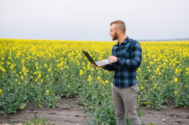 Genç tarımcı tecavüz alanında dizüstü bilgisayar tutuyor. Tarım sektörü konsepti. Yaz aylarında tecavüz alanında dizüstü bilgisayarla duran tarım mühendisi.