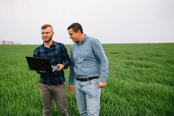 Två Bönder Som Står Ett Vetefält Och Tittar Laptop Undersöker — Stockfoto