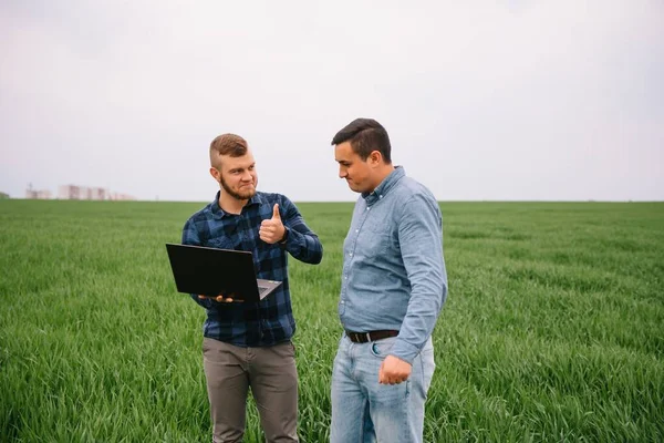 Två Bönder Som Står Ett Vetefält Och Tittar Laptop Undersöker — Stockfoto