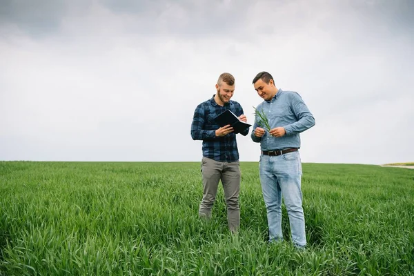 小麦畑に立ってノートを見ている2人の農家は 会社を調べている 農業ビジネスの概念 コムギ畑に立つ農業技術者は — ストック写真
