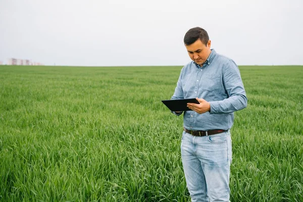 Young Agronomist Holds Tablet Touch Pad Computer Green Wheat Field — Stock Photo, Image