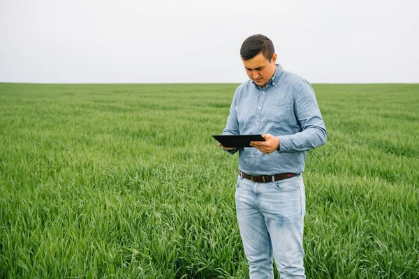 Jovem Agrônomo Detém Tablet Touch Pad Computador Campo Trigo Verde — Fotografia de Stock