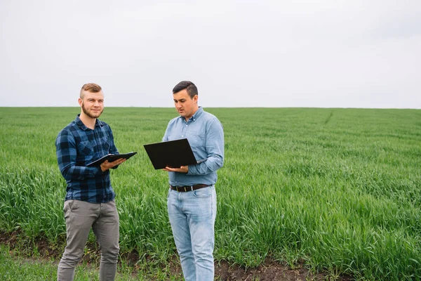 Два Фермери Стоять Пшеничному Полі Дивляться Ноутбук Вивчають Труп Концепція — стокове фото