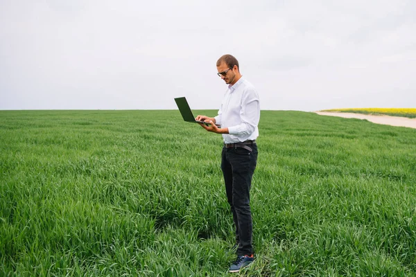 若い農学者は緑の小麦畑にノートパソコンを持っています 農業ビジネスの概念 夏にタブレット付きの小麦畑に立つ農業技術者は — ストック写真