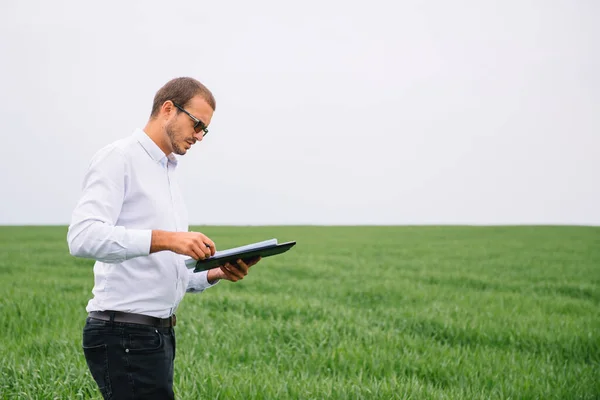 Fiatal Jóképű Agronómus Mezőgazdasági Mérnök Áll Zöld Búza Területen Táblagéppel — Stock Fotó