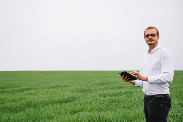 若い農学者は緑の小麦畑にタブレットタッチパッドコンピュータを保持しています 農業ビジネスの概念 夏にタブレット付きの小麦畑に立つ農業技術者は — ストック写真
