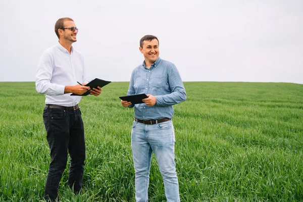 小麦畑に立ってタブレットを見ている二人の農家彼らは会社を調べている — ストック写真
