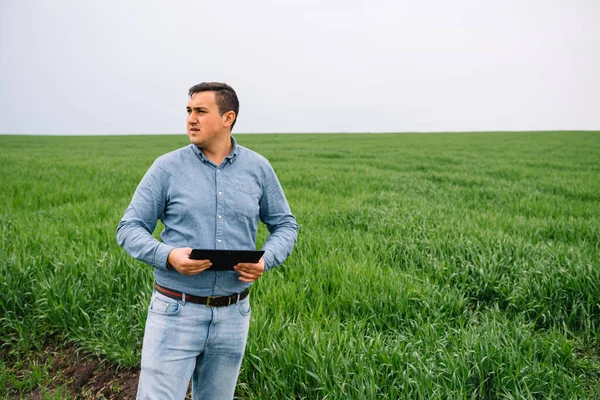 Joven Agrónomo Guapo Ingeniero Agricultura Pie Campo Trigo Verde Con — Foto de Stock