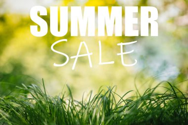 Çimenli yaz indirimi