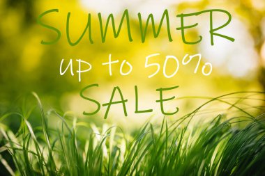 Çimenli yaz indirimi