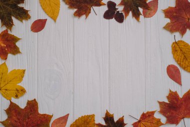 Eski ahşap masa ve sarı sonbahar yapraklı arka plan dokusu. Sonbahar akçaağaç yaprakları ahşap zemin üzerinde fotokopi alanı ile. Üst görünüm