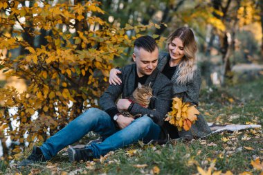 Güz parkında dinlenen genç ve güzel bir çift. Sonbahar konsepti. Sevgili çift kedileriyle dinleniyor..