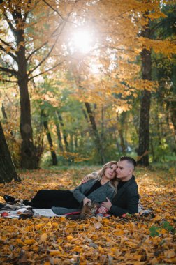 Güz parkında dinlenen genç ve güzel bir çift. Sonbahar konsepti. Sevgili çift kedileriyle dinleniyor..