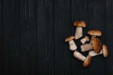 Autumn Cep Mantarları. Açık havada bir ağacın arka planında porcini mantarlı sepet. Ahşap kırsal masaya yakın çekim. Lezzetli organik mantar pişiriyorum..