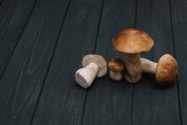 Autumn Cep Mantarları. Açık havada bir ağacın arka planında porcini mantarlı sepet. Ahşap kırsal masaya yakın çekim. Lezzetli organik mantar pişiriyorum..