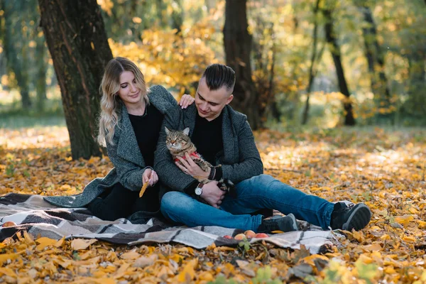 Belo Jovem Casal Descansando Parque Outono Conceito Outono Casal Amoroso — Fotografia de Stock