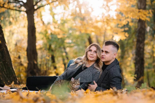 Güz parkında dinlenen genç ve güzel bir çift. Sonbahar konsepti. Sevgili çift kedileriyle dinleniyor..