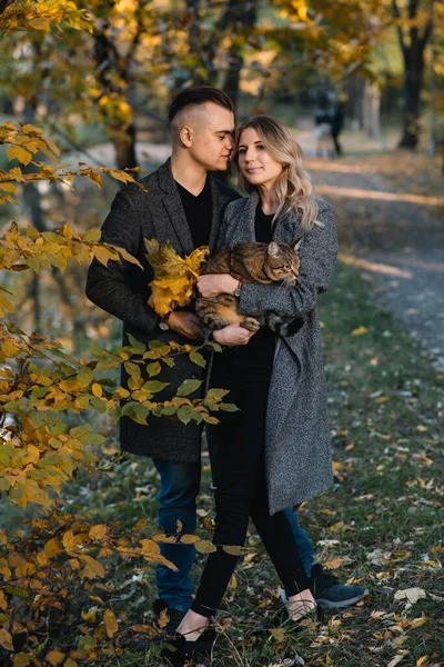 Hermosa Pareja Joven Descansando Parque Otoño Concepto Otoño Amar Pareja —  Fotos de Stock