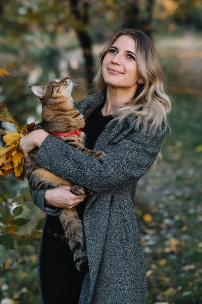 Dívka Kočka Podzimním Parku Žena Hnědém Svetru Kráčí Svou Šedou — Stock fotografie