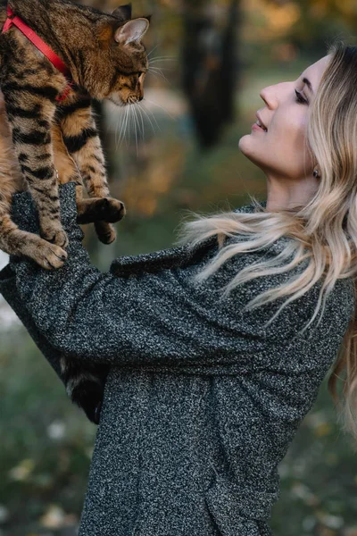 Chica Gato Otoño Park Mujer Suéter Marrón Caminando Con Gato — Foto de Stock