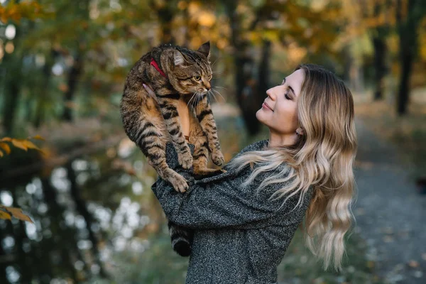 秋の公園の女の子と猫秋の公園の灰色の猫と一緒に歩いている茶色のセーターの女性 — ストック写真