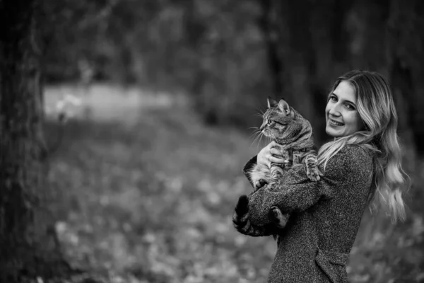 Девушка Кошка Осеннем Парке Женщина Коричневом Свитере Гуляет Своей Серой — стоковое фото