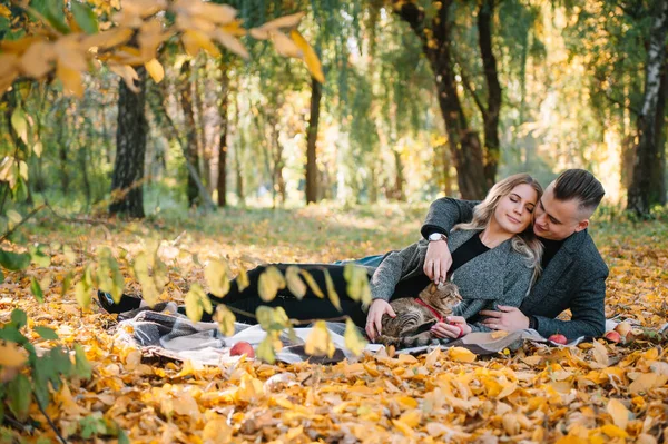 Jeune Couple Amoureux Repose Dans Parc Automne Homme Embrasse Une — Photo